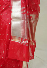 Tomato Red - Narayani - Semi Organza  Silk with Buttas and Zari Border - Best for Small Functions