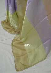 Pastel Lime - Organza Satin Silk Saree with Stone Work and Multicolour Border & Scallop Border