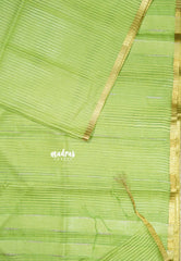 Pretty Parrot Green - Soft Organza silk with stripes weaving with small zari border