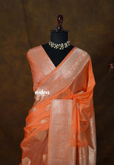 Pastel Orange - Banarasi Chinon Silk with Floral Border - Best for Night Functions