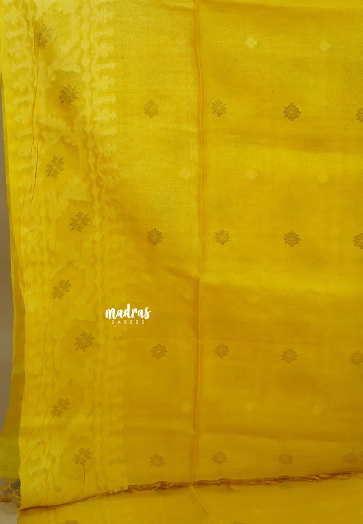 Pure Handwoven Tussar Jamdani Silk Saree (Silk Mark Certified)