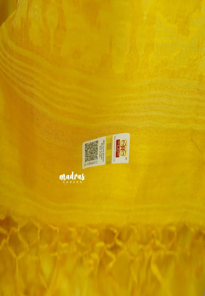 Pure Handwoven Tussar Jamdani Silk Saree (Silk Mark Certified)