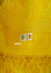 Pure Handwoven Tussar Jamdani Silk Saree (Silk Mark Certified)