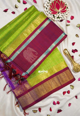 Pretty Parrot Green - Meenakshi -  Light Weight Pure Silk Cotton Saree Zari Checks Body with Yanai Border - Perfect for Wedding Functions