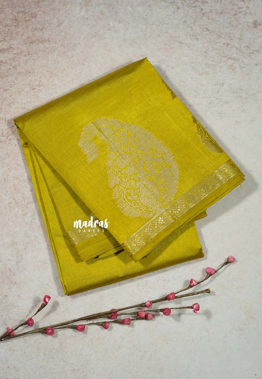 Greenish Yellow - Raaga - Lightweight Semi tussar saree wtih Mango border