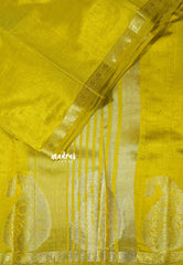 Greenish Yellow - Raaga - Lightweight Semi tussar saree wtih Mango border