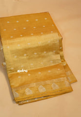 Golden beige - Raaga - Lightweight Semi tussar saree with buttas and small border