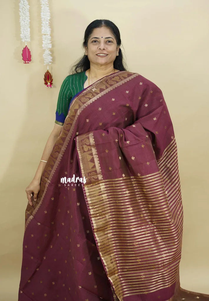 Dual Shade Wine Maroon - Raaga - Semi Tussar with Mayil and Temple Thread Border