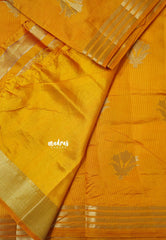 Yellowish Orange - Raaga - Lightweight Semi tussar saree with multilne border