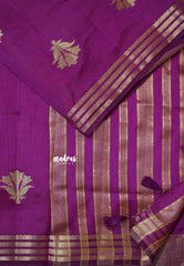 Magenta Purple - Raaga - Lightweight Semi tussar saree with multilne border