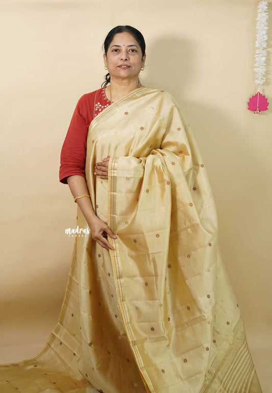 Beige Sandal - Raaga - Semi Tussar Tiny Border with Buttas