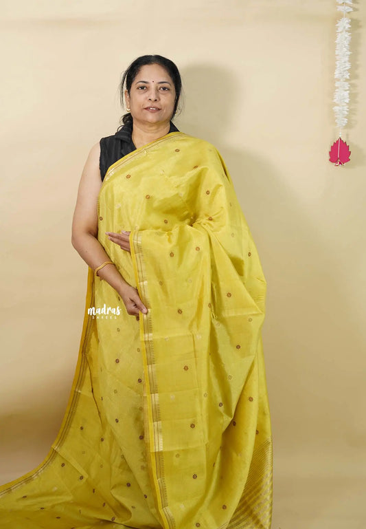 Pastel Yellow - Raaga - Semi Tussar Tiny Border with Buttas