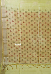 Pastel Lime Green - Roopa  - Semi tussar with kalamkari pallu