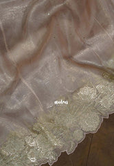 Golden Shade Blush Beige - Roshini - Pure Crushed Metallic Dualshade Tissue Silk with Heavy Sequin Embroidery Border - Best for Evening Functions