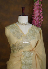 Golden Shade Warm Olive - Roshini - Pure Crushed Metallic Dualshade Tissue Silk with Heavy Sequin Embroidery Border - Best for Evening Functions