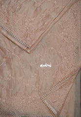 Pastel Peach - Roshini - Pure Tissue Organza Silk Floral Weaving Embroidery with Lace - Best for Evening Functions | Diwali Festive
