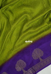 Pritty Parrot Green - Soft and Silky Georgette with Emboss Weaving with Tree Border - Best for Temple Visit