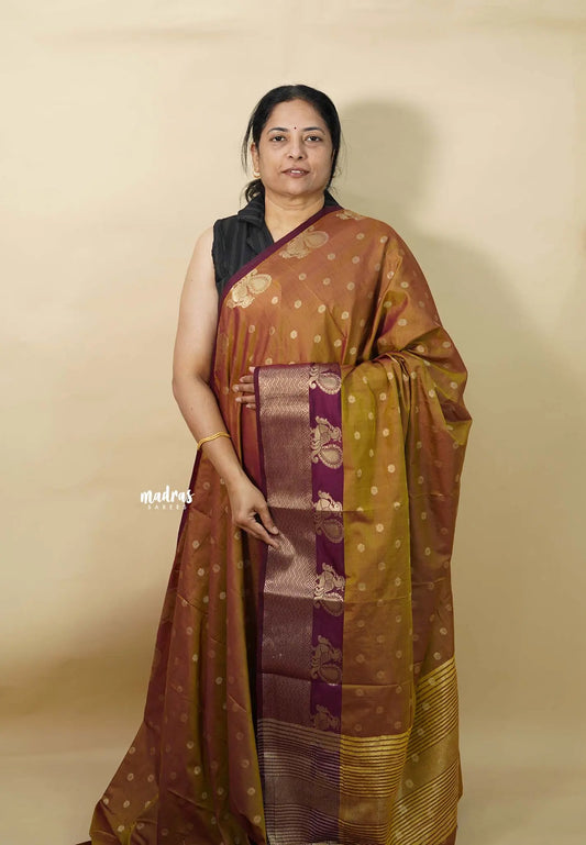 Dual Shade Honey Brown - Thendral - Kanchi soft silk with peacock border