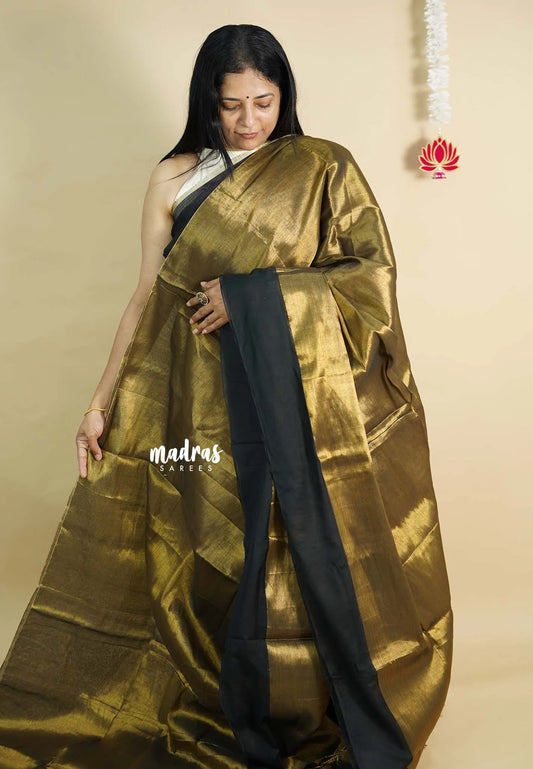 Gold Tissue khadi with black big skirt border - Vani Bhojan saree