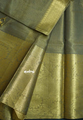 Grey with Gold - Tissue silk saree Silver Zari Boder - Best for Special Celebrations