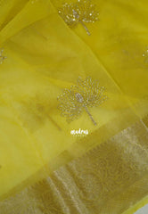 Lime Yellow - Banarasi Organza Silk with Beads worked Lotus Jacquard Border - Best for wedding Reception
