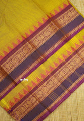 Contemporary chettinad with traditional double border - Mild mehendi green