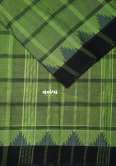 Muted Parrot Green - Classic Kanchi Chettinad Cotton Kandangi Big Checks with Temple Weaving Border without Blouse - Best for Temple Visit
