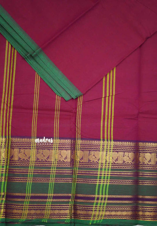 Classic Kanchi cotton big multi border  - Magenta