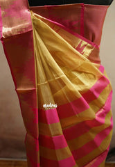 Thendral - Kanchi tissue silk Saree Temple border - Gold