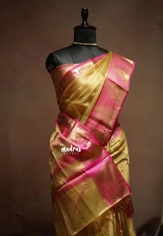 Thendral - Kanchi tissue silk Saree Temple border - Gold