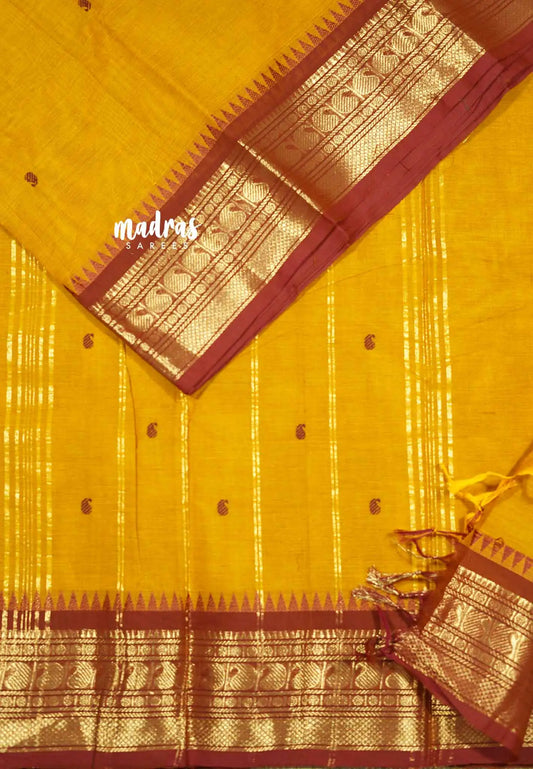 Mustard yellow - Karthigai silk cotton getti zari with mango border