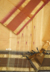 Karthigai silk cotton Big Rudhraksham Ganga Jamuna border - Pastel brown