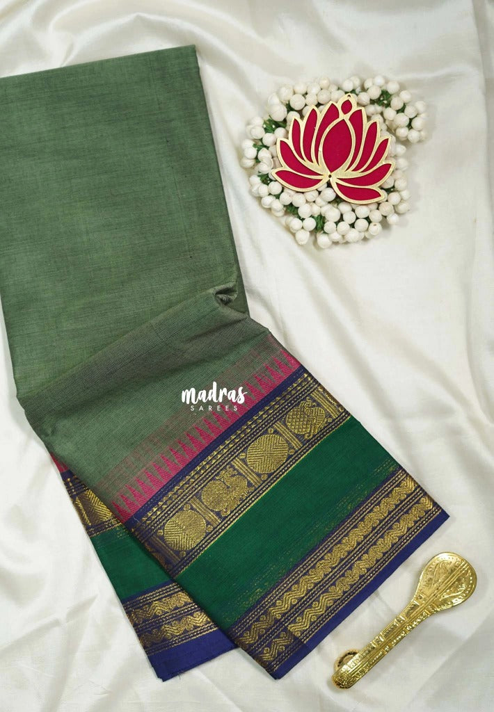 Greenish Grey - Karthigai silk cotton with buttas annam small temple border - Best for Wedding Functions