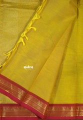 Greenish yellow - Korvai silk cotton saree with Small Border  - Best for Festive Wear