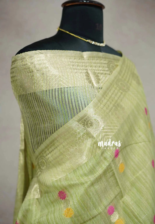 Pista green - Banarasi Kota Tissue Ghicha silk Pastel shades - Kushboo