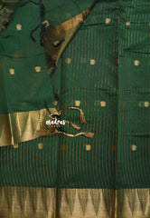 Forest Green - Maheswari - Lightweight cotton silk saree with temple weaving border  - Perfect for Small Functions