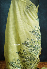 Pastel green - Muslin Silk with Jamdani floral Weaving Border and pallu