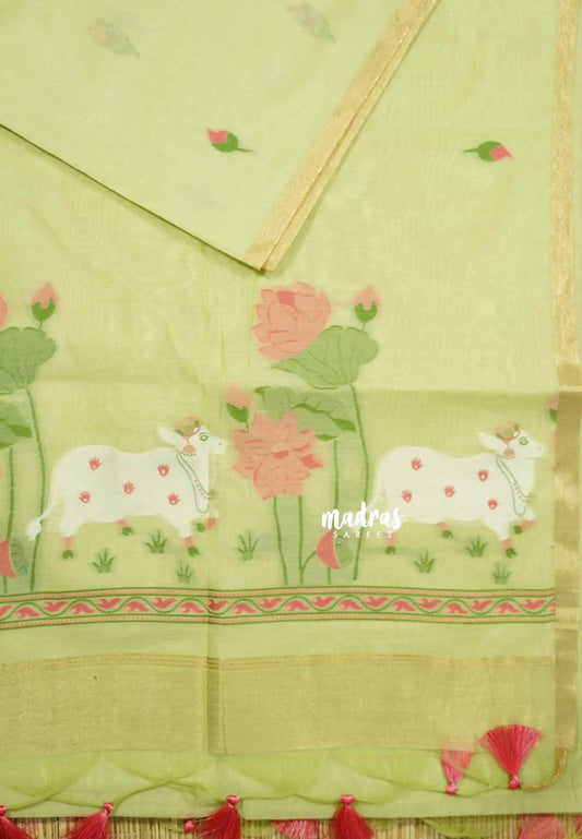 Pastel green - Soft Organza silk with pichwai weaving saree and small tissue border