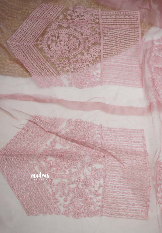 Shreya - Organza saree with silk thread embroidery Baby Pink