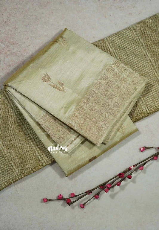 Cream white - Raaga - Premium Semi tussar with tulip weaving buttas