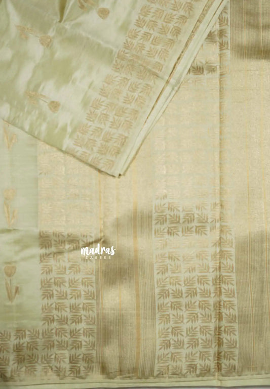 Cream white - Raaga - Premium Semi tussar with tulip weaving buttas