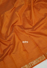 Brownish Orange - Raaga - Lightweight Semi tussar saree wtih leaf border