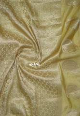 Creamy Ivory - Raaga Premium Semi tussar Vaira Oosi Body with Thread Weaving Border -  Perfect for Festive Wear