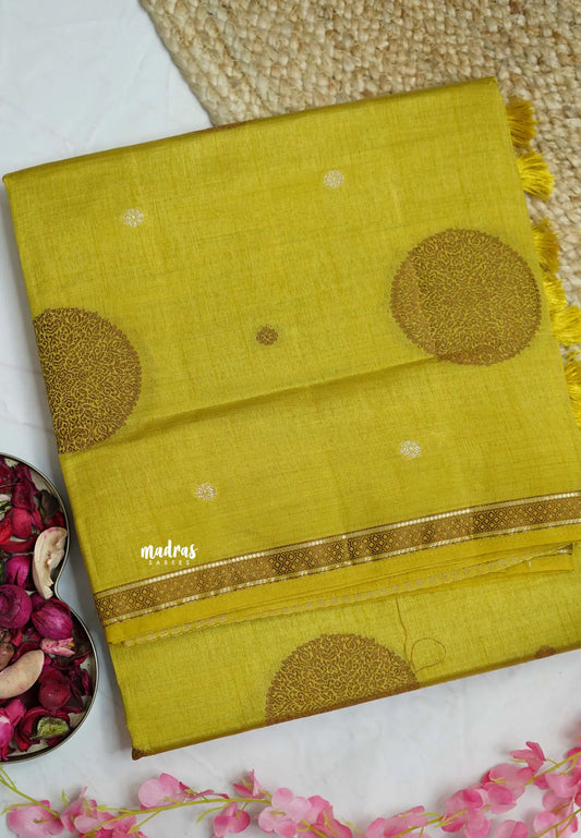 Raaga - Lightweight small border Semi tussar saree with pastel shades - Mustard Yellow