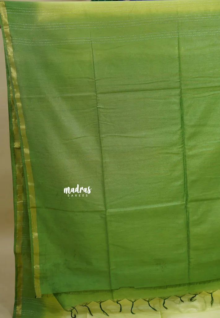 Pastel Green- Sithara - Semi tussar with gradient border and silver thread weaving body