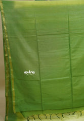 Pastel Green- Sithara - Semi tussar with gradient border and silver thread weaving body