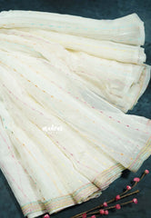 Snow White Charm - Soft organza with embroidery work blouse