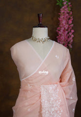 Pastel Peach Orange - Shalini - Premium Super Net Saree Embroidery Weaving Border and Buttas - Best for Office Wear / Hightea party