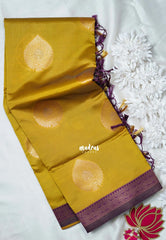 Greenish Yellow - Thendral - Kanchi Semi Silk Small Border with Contrast Pallu and Blouse - Best for Pooja Functions | Diwali Festive